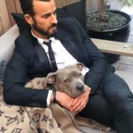 Justin Theroux Instagram - Celebrating Kuma’s Gotcha Day! June 8, 2018, 3 years ago today. 🎂 I know you can’t read Kuma, but thank you for being so open, making me laugh, sleeping in later than me, going everywhere by my side, reminding me to stay in the present, to let things roll off me, to have gratitude and joy for everything, even just waking up. Reminding me to be playful. For showing patience. For not judging anyone, (except skateboards that you judge harshly). For showing kindness first, to literally everyone you meet. For being an exceptional (but not uncommon) Pitbull ambassador. For helping save other Pittbulls like yourself by letting me tell people your story… For being loyal. For being my gray shadow… And above all, for guarding the bathroom door literally every time i take a piss like my life depended on it. And THANK YOU to all the hands that cared for Kuma before I got there. And an extra special thanks to ALL who work in animal rescue (usually very quietly) who make Kuma’s story possible for thousands of other animals every day. You are my heroes. I’ll say it again… #adoptdontshop ❤️ 🙏 … you won’t regret it.