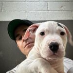 Justin Theroux Instagram – THANK YOU to Natalie and all the angels @battersea Dogs and Cats home of London for letting me visit with you and seeing what incredible work you all do… And Thank you for some restorative pittie play time. I was stunned by the incredible care you provide and the kindness and  thoughtfulness with which you find these animals new homes. Viva la Battersea! 
🇬🇧 🐾 
#adoptdontshop 
#getalife ! Battersea Dog and Cats Home