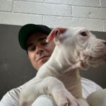 Justin Theroux Instagram – THANK YOU to Natalie and all the angels @battersea Dogs and Cats home of London for letting me visit with you and seeing what incredible work you all do… And Thank you for some restorative pittie play time. I was stunned by the incredible care you provide and the kindness and thoughtfulness with which you find these animals new homes. Viva la Battersea!
🇬🇧 🐾
#adoptdontshop
#getalife ! Battersea Dog and Cats Home