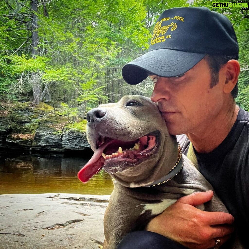 Justin Theroux Instagram - TODAY! 5 years with this derpy 🤓! 💕 If you are considering getting a dog, please visit your local shelter. There are TENS OF THOUSANDS of Kumas out there that would love to make your life so much better. #adoptdontshop @aspca @austinpetsalive @bestfriendsanimalsociety @battersea @espiritupitbull @themayhew @muddypawsrescuenyc @socialteesnyc