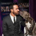 Justin Theroux Instagram - Kuma and I were so honored to present a HERO award to real life HERO Carie Broecker and her incredible organization @peace_of_mind_dog_rescue for the tireless work they do for senior dogs and senior people. Thank you Carie for being such an astounding advocate for the voiceless. If you can this holiday season, please consider making a donation to help continue the incredible work that Carie does. ❤️ #adoptdontshop
