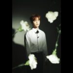 Juyeon Instagram - THE BOYZ(더보이즈) [PHANTASY] Pt.3 Love Letter Write ver. #Memorial Concept Photo 📝 2024.3.18 6PM Release #THEBOYZ #더보이즈 #PHANTASY #Love_Letter
