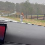 K. Michelle Instagram - I know its probably on some weirdo shit to be up this late in my feelings about this. But this horse Pays me in dust. I try over and over again just to get him to acknowledge me. I talk about it to anyone that’ll listen, just like how biscuit (the only horse I’ve ever rode and love) doesn’t seem to like cameras, but at this point it’s an obsession. I feel like he’s got something to tell me. The only man than can make me get out in the rain and beg. I think he’s just beautiful and I’ll keep trying until he knows I come in love🫶🏽 Sayin TT baby don’t even work. I posted him some days ago on @kimberlyispuddin and he wouldn’t even come close. P.S yes I don’t ride horses I don’t believe that want to be ridden and neither the fuck do I. I talk to them and they talk back to me. I love them