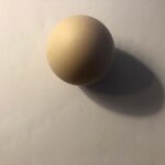 Kaan Urgancıoğlu Instagram - the egg