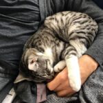 Kaan Urgancıoğlu Instagram -