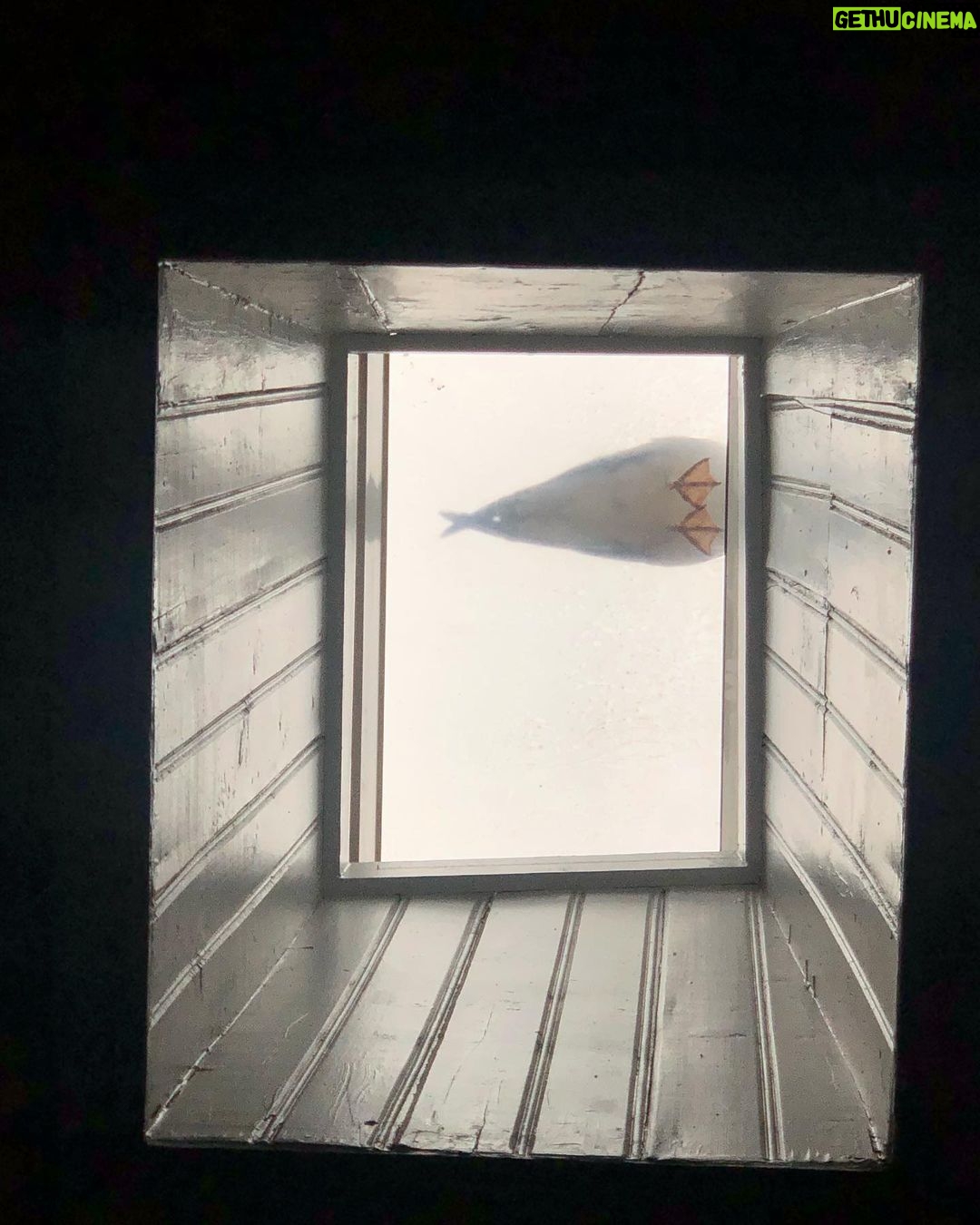 Kaan Urgancıoğlu Instagram - Hello stranger