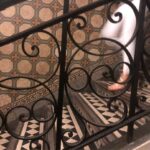 Kaan Urgancıoğlu Instagram –