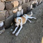 Kaan Urgancıoğlu Instagram –