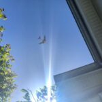 Kaan Urgancıoğlu Instagram – Landed