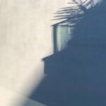 Kaan Urgancıoğlu Instagram –