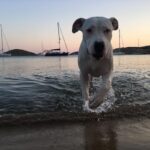 Kaan Urgancıoğlu Instagram –