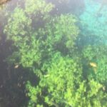 Kaan Urgancıoğlu Instagram –