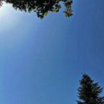 Kaan Urgancıoğlu Instagram -