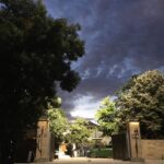 Kaan Urgancıoğlu Instagram – Son sahne / Last scene  Tüm güzel yorumlarınız, desteğiniz için çok teşekkür ederim, cevap yazamamış olsam da takip ettim, motivasyon ve güç verdiniz.. Thank you for all your support and good wishes, even though i couldn’t reply i read them all and they motivated me all season..