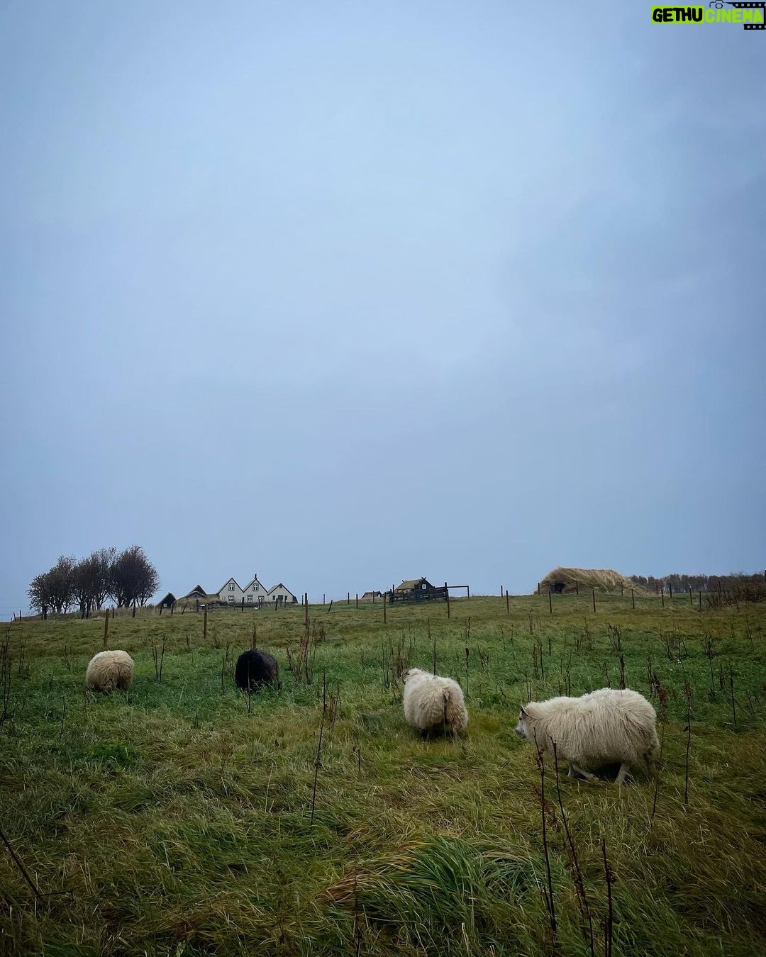 Kacey Musgraves Instagram - friends were made 🌾 Reykjavík, Iceland