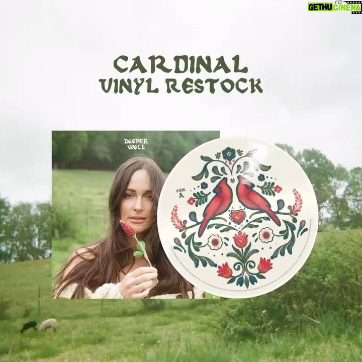 Kacey Musgraves Instagram – The Cardinal is back. ♥️ Link in bio