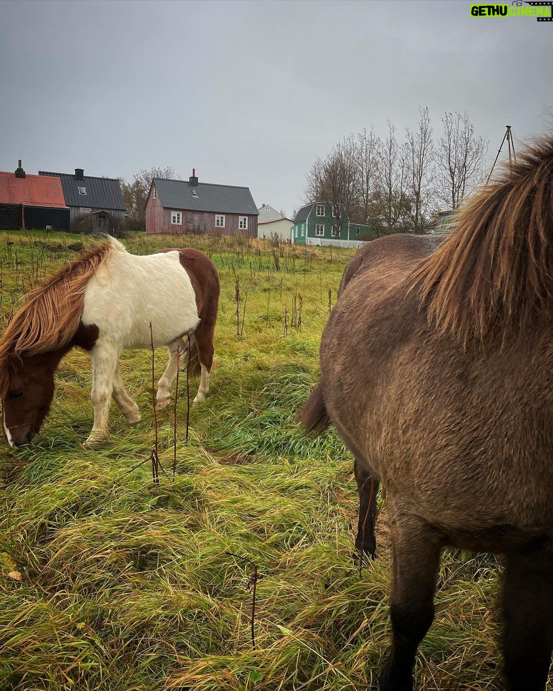 Kacey Musgraves Instagram - friends were made 🌾 Reykjavík, Iceland