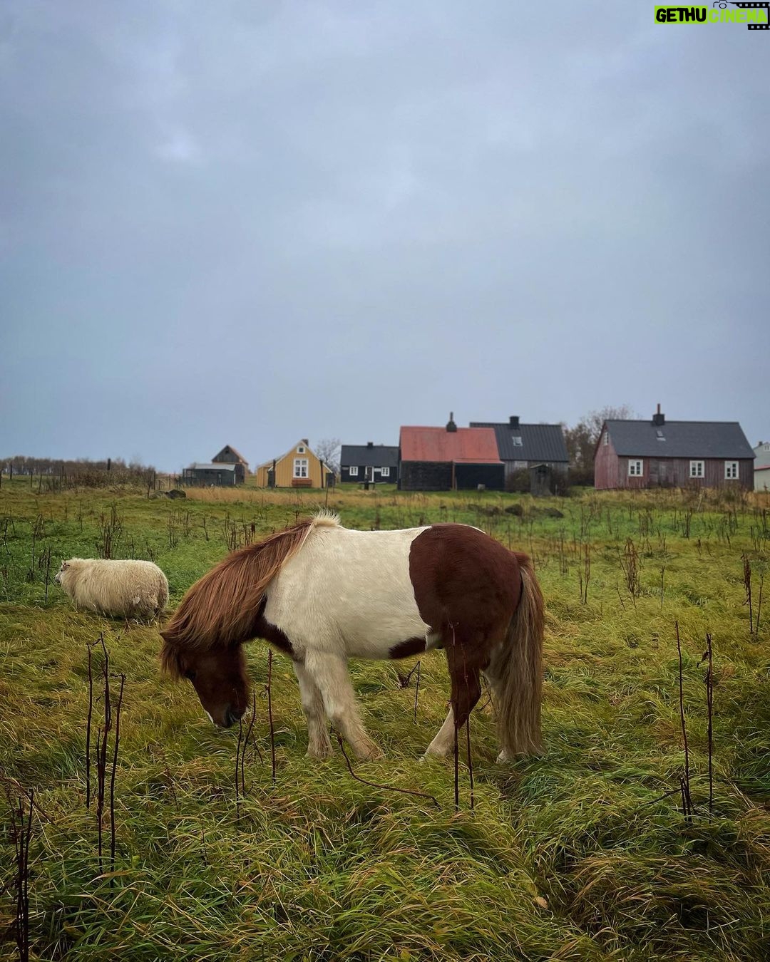 Kacey Musgraves Instagram - friends were made 🌾 Reykjavík, Iceland