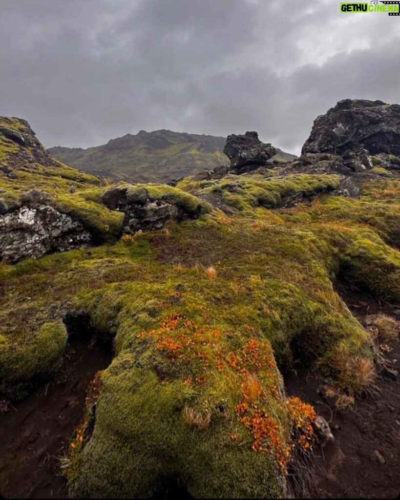 Kacey Musgraves Instagram - :: earth magic :: Reykjavík, Iceland