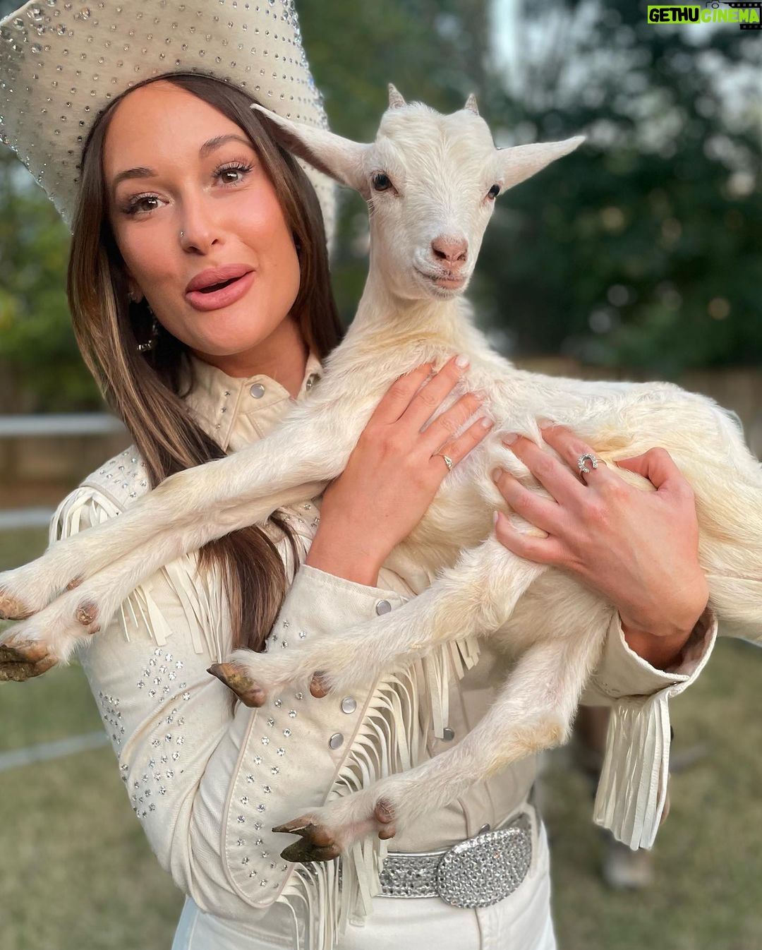 Kacey Musgraves Instagram - GOAT energy only 🤍