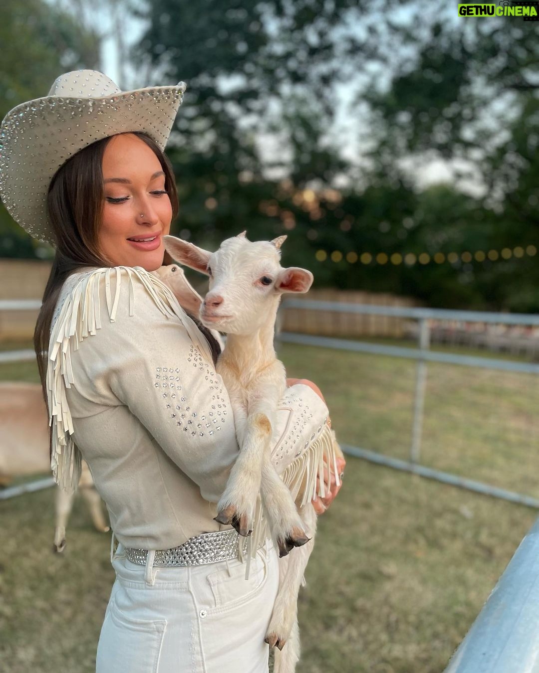 Kacey Musgraves Instagram - GOAT energy only 🤍