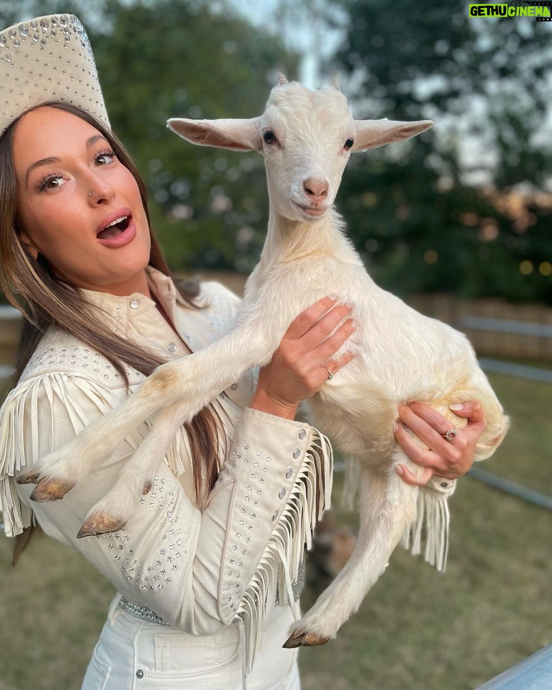 Kacey Musgraves Instagram - GOAT energy only 🤍