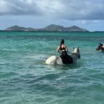 Kacey Musgraves Instagram - *changes name to kacey mustique* Mustique Island