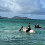 Kacey Musgraves Instagram - *changes name to kacey mustique* Mustique Island