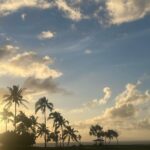 Kacey Musgraves Instagram - on this perfect day where nothing can go wrong