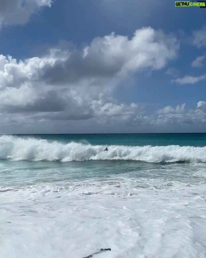 Kacey Musgraves Instagram - on this perfect day where nothing can go wrong
