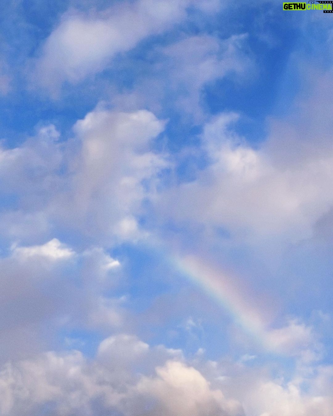 Kacey Musgraves Instagram - on this perfect day where nothing can go wrong