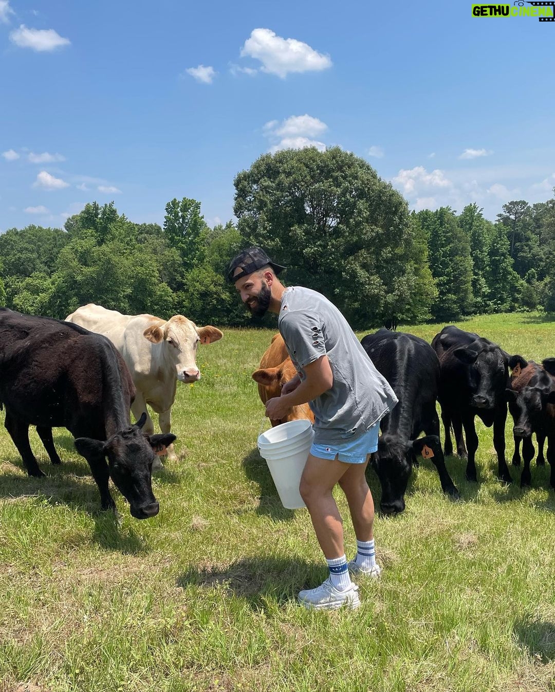 Kacey Musgraves Instagram - in the π½ππΆππ of the woods Home