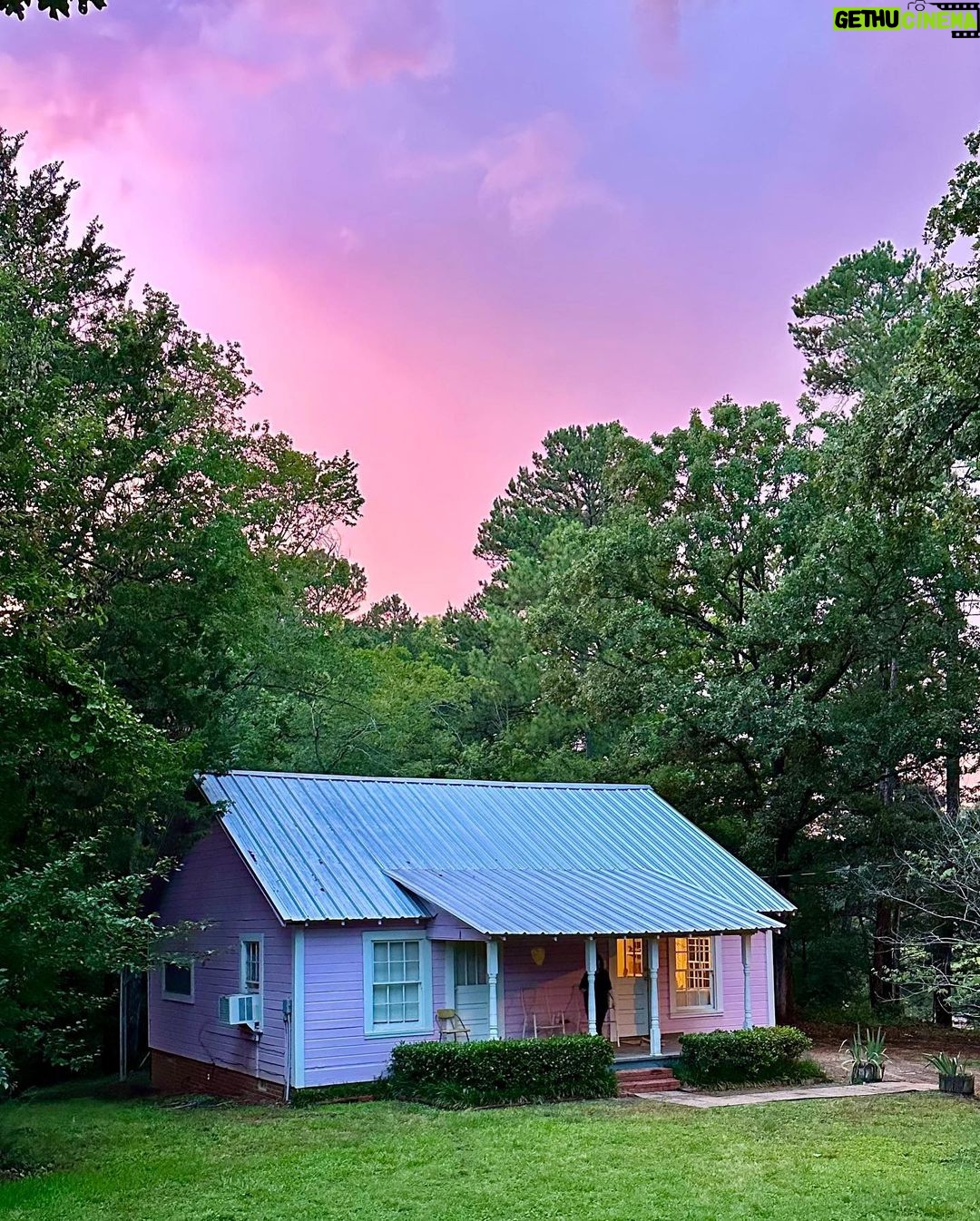 Kacey Musgraves Instagram - in the π½ππΆππ of the woods Home