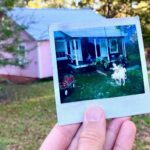 Kacey Musgraves Instagram - in the 𝒽𝑒𝒶𝓇𝓉 of the woods Home