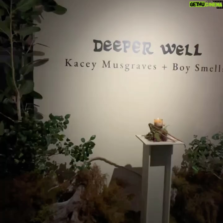 Kacey Musgraves Instagram - Hard launched Deeper Well ~ the newest song-turned-scent collab between me + @boy__smells 🌿 It’s an earthy ode to your inner world and was so fun to create. Link in bio. NYC
