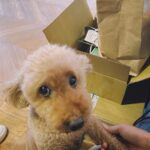Kai Ko Instagram - 最近
