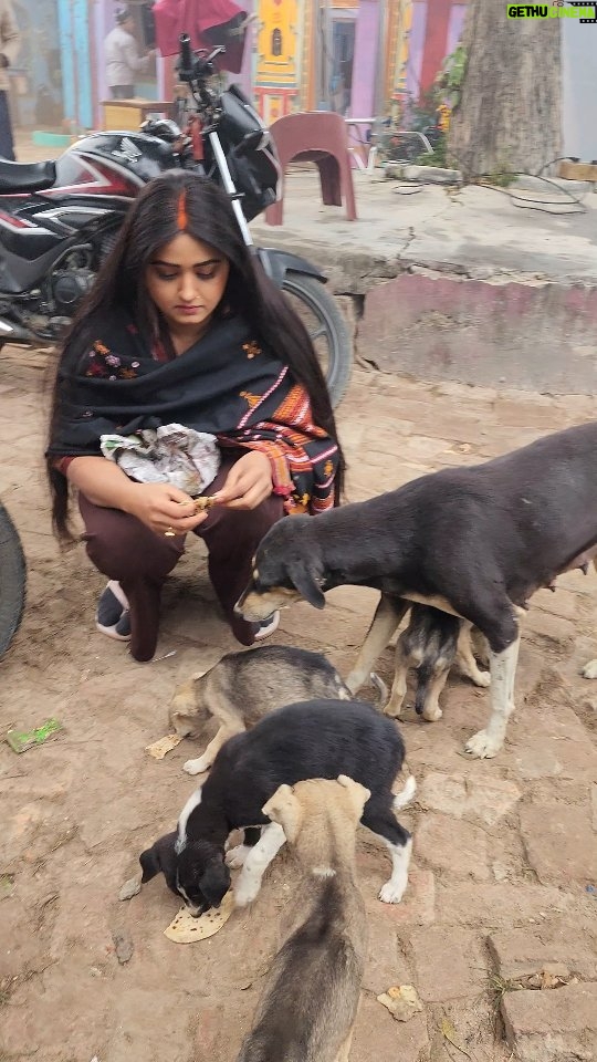 Kajal Raghwani - 198K Likes - Most favorite thing which I do in the morning 🌄 ✨️🧿😇❤️🇮🇳 with my cuties 😍💗💕💖 Pure love ☘️