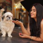 Kajal Raghwani Instagram - 🎉🥳 Happy birthday 🧿 my love 🐶 my life ☘️ my happiness ✨️ my world everything 💛 I love you the most ❤️ happy happy 🎂 happiest birthday 🐶 HONEY my baby 🎉🥳 God Bless You Always 🧿✨️🎉