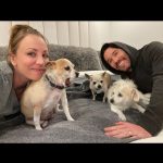 Kaley Cuoco Instagram – 💔’A dog is the only thing on earth, that loves you more than he loves himself’  My sweetest Dump Truck, saying goodbye to you has deeply pierced my soul. You were with me during some of the hardest moments I’ve had in my life.  You brought endless joy to everyone that met you, and kissed my nose when I needed it most. You were as special as it gets and I’m so grateful we found each-other. Please tell Norman I miss him every day and will cherish you both forever 🌈