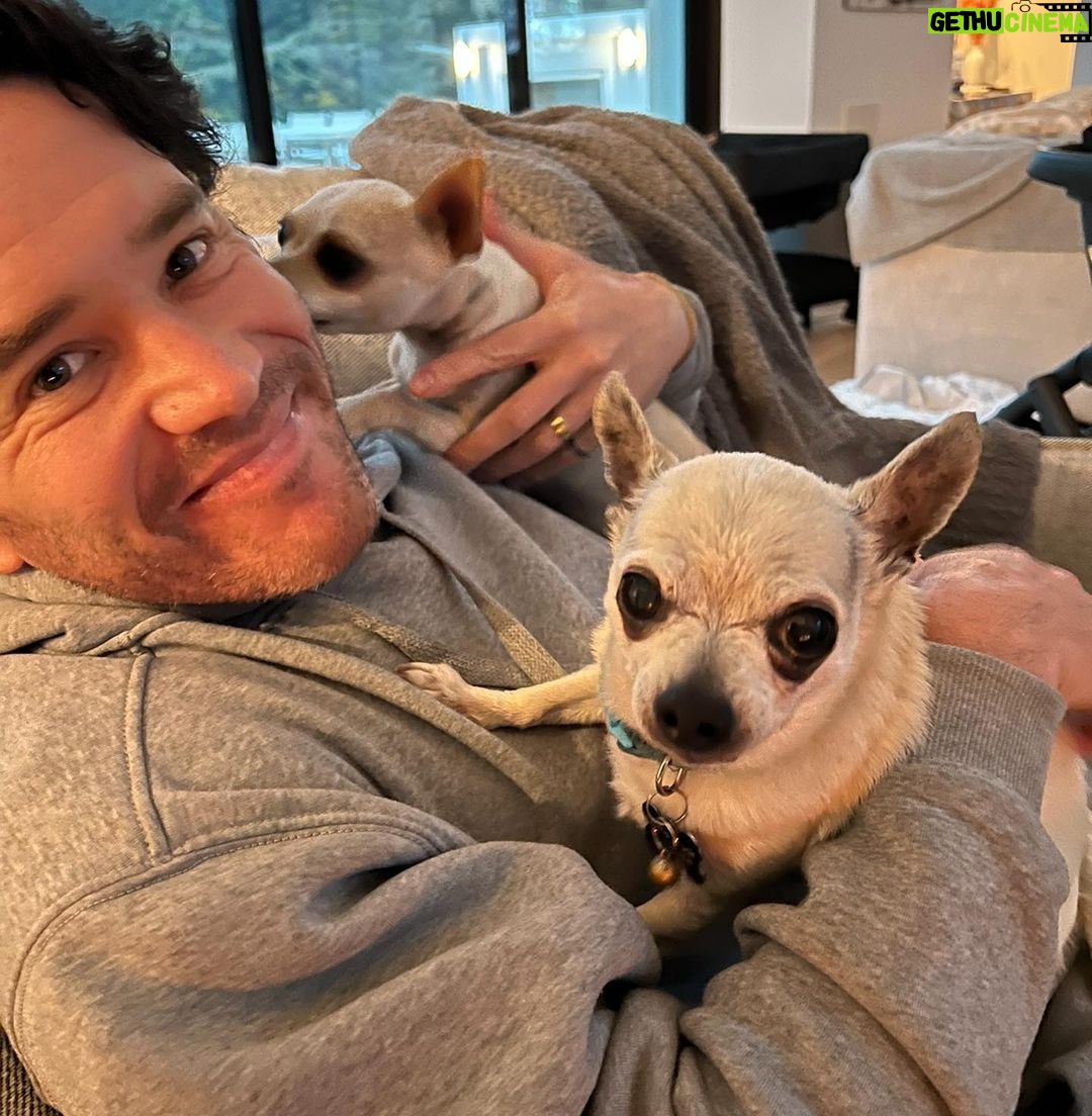 Kaley Cuoco Instagram - 💔’A dog is the only thing on earth, that loves you more than he loves himself’ My sweetest Dump Truck, saying goodbye to you has deeply pierced my soul. You were with me during some of the hardest moments I’ve had in my life. You brought endless joy to everyone that met you, and kissed my nose when I needed it most. You were as special as it gets and I’m so grateful we found each-other. Please tell Norman I miss him every day and will cherish you both forever 🌈