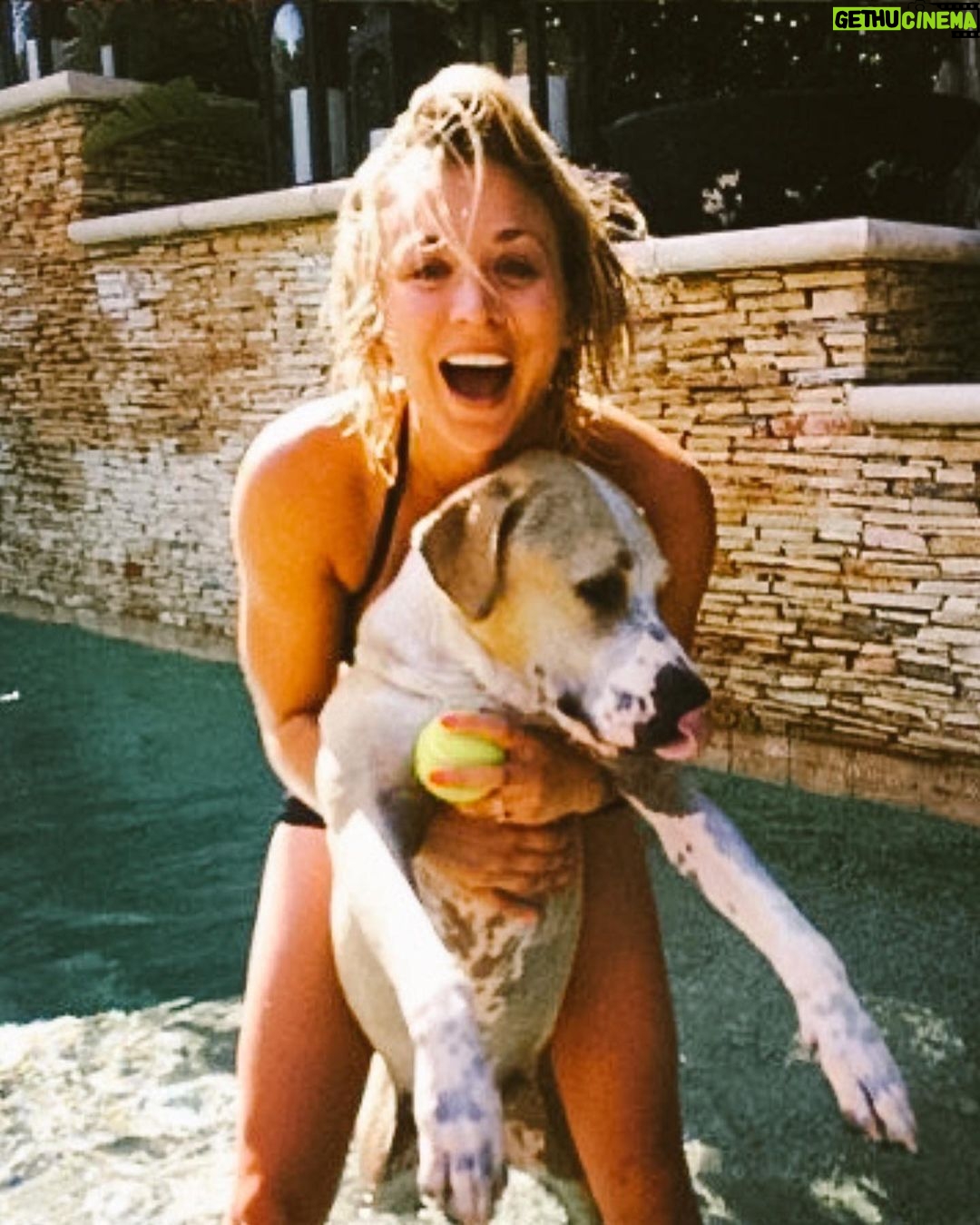 Kaley Cuoco Instagram - Omg š¶ Iam beyond excited to announce my newest adventure as Co Founder of @ohnorman ! My beloved dog Normanās unconditional love , inspired me to make the company I always wanted to see in the world . Created in his honor, @ohnorman is all about giving our furry friends the love and care they deserve. Oh Norm, this oneās for you ! š¶ head over and follow @ohnorman to get involved and to see whatās coming! You donāt wanna miss out! š¾š¶ā¤ļø #ohnorman #lovemydog #doglovers #dogsarefamily #adoptdontshop