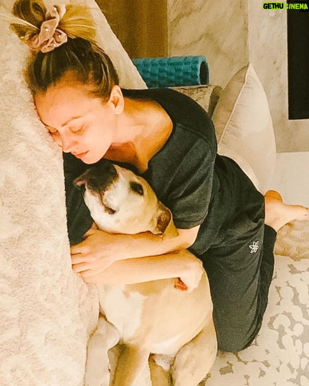 Kaley Cuoco Instagram - Omg š¶ Iam beyond excited to announce my newest adventure as Co Founder of @ohnorman ! My beloved dog Normanās unconditional love , inspired me to make the company I always wanted to see in the world . Created in his honor, @ohnorman is all about giving our furry friends the love and care they deserve. Oh Norm, this oneās for you ! š¶ head over and follow @ohnorman to get involved and to see whatās coming! You donāt wanna miss out! š¾š¶ā¤ļø #ohnorman #lovemydog #doglovers #dogsarefamily #adoptdontshop