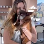 Kaley Cuoco Instagram - I knew Red belonged in our pack, I was just in denial for a while. At last here we are, and we love our newest senior family member, our expert drooler. 👅 He also doubles as my heating blanket every night — he always sleeps right next to me. 🥹 Isn’t he so sweet? Dogs like Red are why I’m so passionate about building @ohnorman. We get to support rescues with every single purchase you make! ❤️