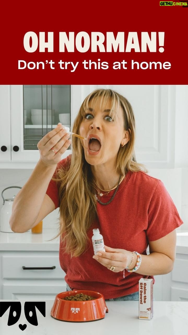 Kaley Cuoco Instagram - Don’t try this at home!! Consider this your instruction manual for Oh Norman‘s products 😂 We sure hope this clears things up — but if you have any further questions, check OhNorman.com or send us an email at help@ohnorman.com ✍️ @kaleycuoco definitely knows how to keep a photoshoot entertaining! She clearly goes above and beyond in her product testing duties, but with such high-quality ingredients and materials, it’s hard not to be tempted 🐶❤️ Btw, did you know the word „tinctures“?!