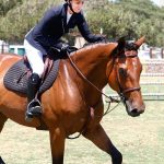 Kaley Cuoco Instagram - 💫 Sometimes horses come into your life and truly make you see the world in a new and beautiful way. Si Bella , you were the horse of a lifetime . Still to this day I cannot believe you were mine. You taught me how to fly and put me in dream arenas I thought could only ever be a dream. You had the heart of a warrior truly till your last breath. You deserve all the love, gratitude , and respect my heart can muster. Thank you for giving me your all ,since the day we met. Thank you to the Prudent’s for trusting us with her. She was special to so many and will remain to be. Thank you @traceywade10 & @memomoreno2643 for loving her like I did 💫 Thank you to everyone that was part of her journey …