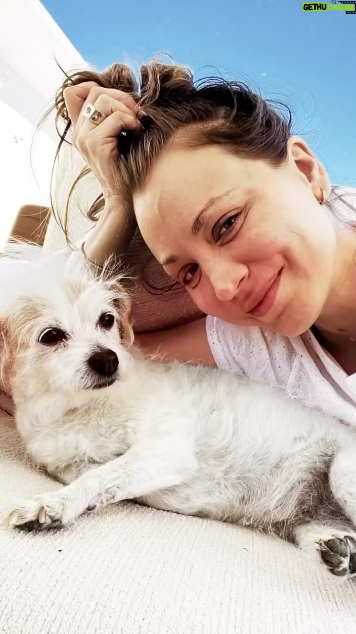 Kaley Cuoco Instagram - NO dog should be in a shelter! That’s why I created Oh Norman! we’ll get to help rescues like Rubesicle🍦. I would love it if you followed us over on @ohnorman to learn more about that SO soon! Who else is excited for our launch? Without further ado, meet my team member Ruby! RuRu keeps us on our toes to meet her product standards. 🍦Nicknames: Rubs, Ruby Tuesday, Rubsicle, Ruru 🍦Mix: Literally 100+ types of dogs 🍦Personality: Gentle, sweet, girly 🍦Favorite Activities: Sleeping on my head 🍦Enemy: The car (she never has to go in it again, promise) 🍦Superpower: Sonic sensibility - she can hear things happening miles and miles away 🍦Pack Status: Queen of the house (she is not messed with) 🍦Sweet Tooth: She BEGS for ice cream #Adoptdontshop