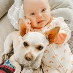 Kaley Cuoco Instagram - 🐾 Tildy and our dogs were instant besties, especially her and Opal, who is pretty much Tildy's shadow these days! Head on over to @ohnorman for my tips on introducing a new human to your dogs! ❤️ I'm building @ohnorman for all of my babies – furry AND human - to take part in making the world a better place for them! We’re committed to sustainability, ethical sourcing, utilizing the best ingredients, and, of course, animal rescue. I promise it will all make sense when we launch this fall! Please give us a follow @ohnorman to be part of this journey. Thank you for the support!! 🐾
