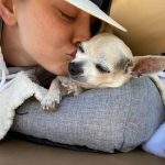 Kaley Cuoco Instagram – 💔’A dog is the only thing on earth, that loves you more than he loves himself’  My sweetest Dump Truck, saying goodbye to you has deeply pierced my soul. You were with me during some of the hardest moments I’ve had in my life.  You brought endless joy to everyone that met you, and kissed my nose when I needed it most. You were as special as it gets and I’m so grateful we found each-other. Please tell Norman I miss him every day and will cherish you both forever 🌈