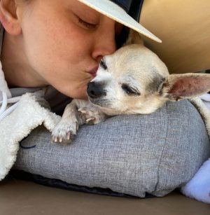 Kaley Cuoco Instagram - 💔’A dog is the only thing on earth, that loves you more than he loves himself’  My sweetest Dump Truck, saying goodbye to you has deeply pierced my soul. You were with me during some of the hardest moments I’ve had in my life.  You brought endless joy to everyone that met you, and kissed my nose when I needed it most. You were as special as it gets and I’m so grateful we found each-other. Please tell Norman I miss him every day and will cherish you both forever 🌈