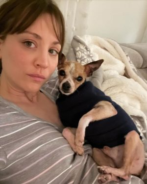 Kaley Cuoco Instagram - 🥹There are no words to describe our dearest little Kingy. He was the first dog @tommypelphrey and I rescued together and honestly the most special.
I saw him online shaking in a shelter in Atlanta while I was away in Germany , and asked the shelter to hold him because we just had to have him. A month later we were in Atlanta for Tom’s work, and we spent an entire day driving hours to go pick up King. It was ♥️ ! We did not have him nearly long enough. What started as a 6 pound , skinny , wouldn’t drink water , fur less, scared dog, turned into a chubby , hilarious , side plopping, eye kissing part of our family. The hardest part about adopting seniors with medical issues, is we truly don’t know how long we have. All I know is Kingy gave us the most joy over the last year in a half and we could not love him more. 🌈 to everyone that helped with Kingy’s journey along the way, thank you. I urge you to rescue your next best friend ❤️‍🩹 He has left his paw print on our family’s hearts forever 🐾